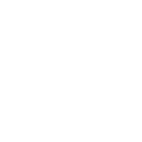 FEARLESS ATHLETE SPORTS TRAINING